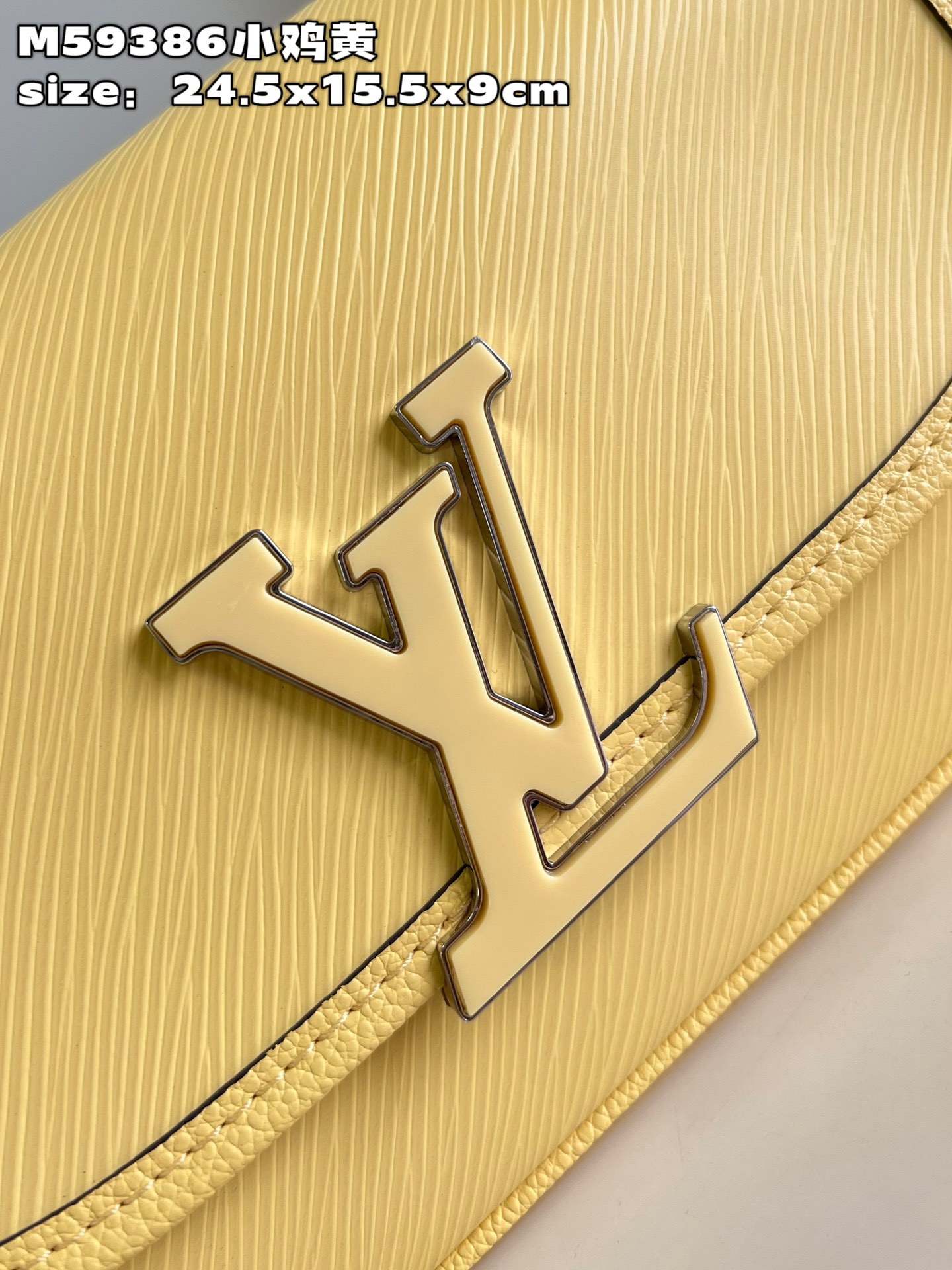 Louis Vuitton M22618 Buci