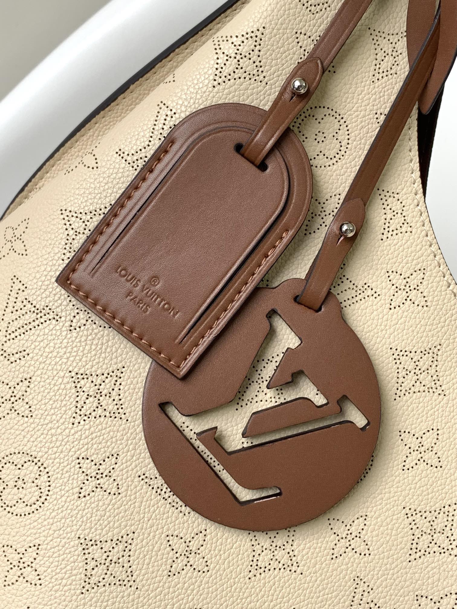 Louis Vuitton M53188 Carmel