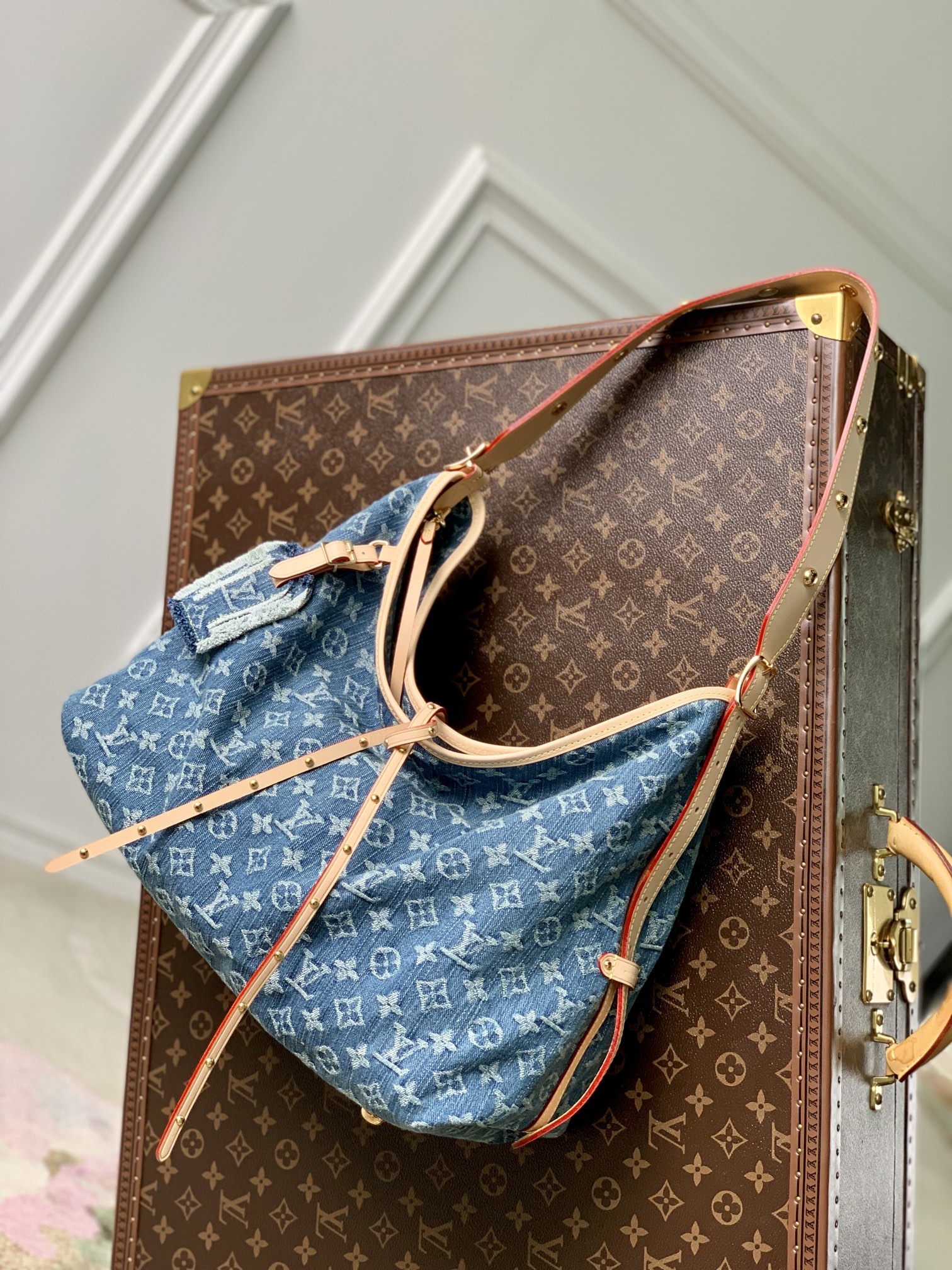 Louis Vuitton M46855 CarryAll MM (4)