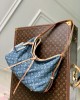 Louis Vuitton M46855 CarryAll MM (4)