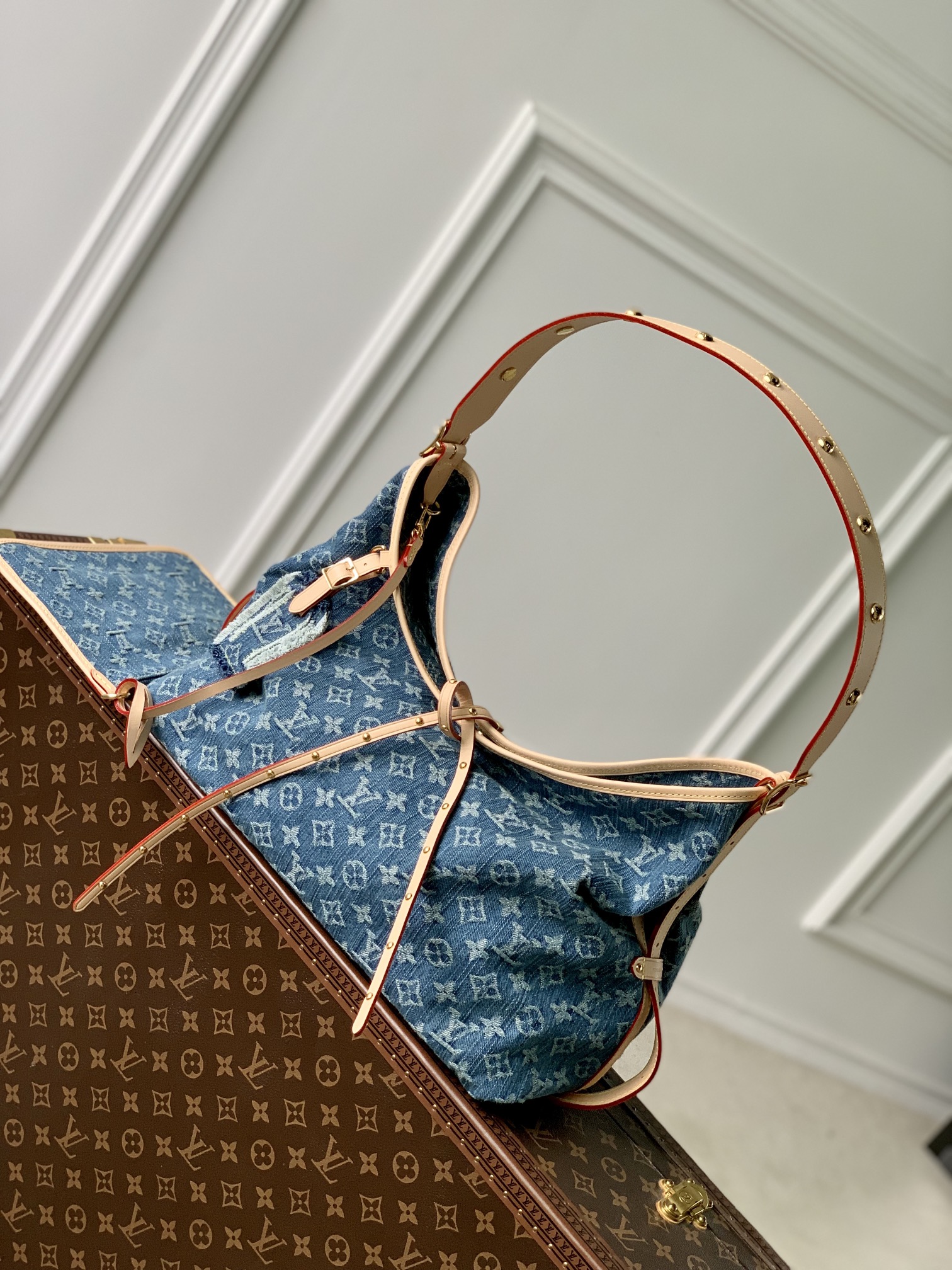 Louis Vuitton M46855 CarryAll MM (4)