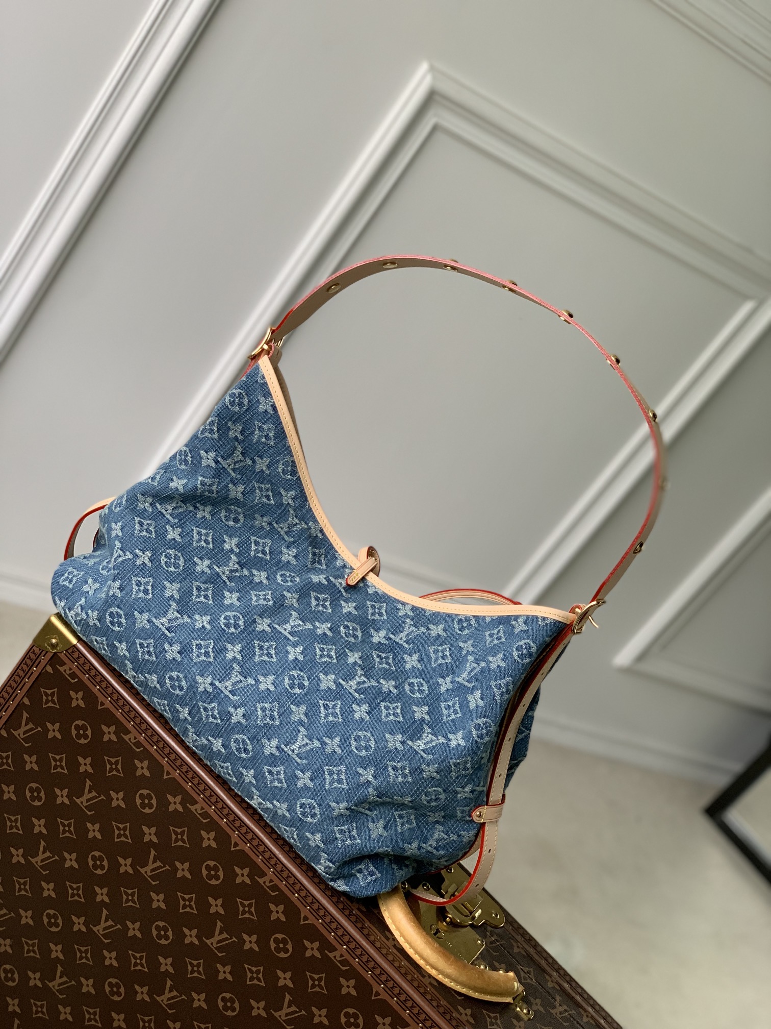 Louis Vuitton M46855 CarryAll MM (4)