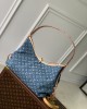 Louis Vuitton M46855 CarryAll MM (4)