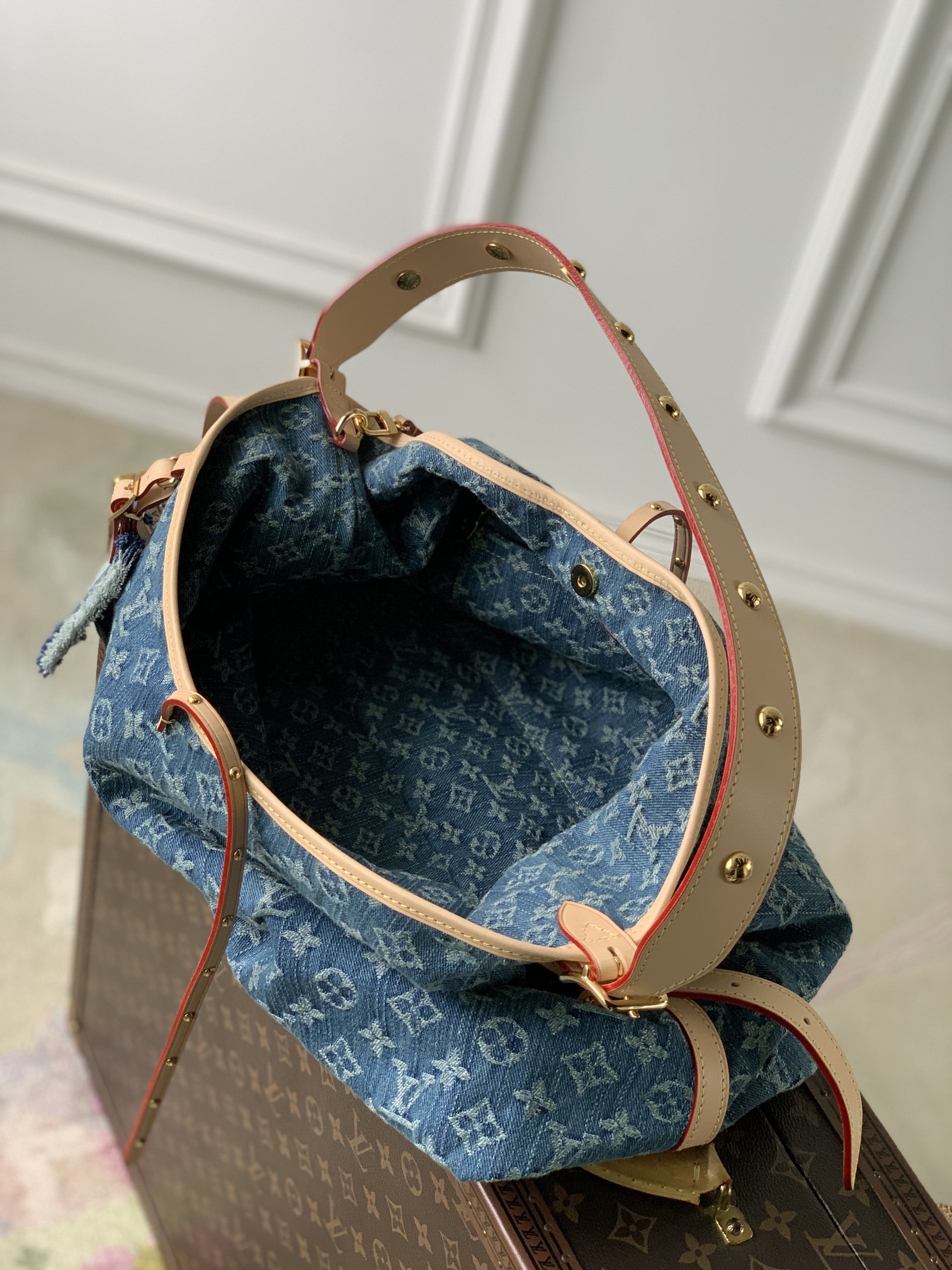 Louis Vuitton M46855 CarryAll MM (4)