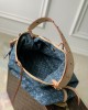 Louis Vuitton M46855 CarryAll MM (4)