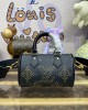 Louis Vuitton M46745 Nano Speedy