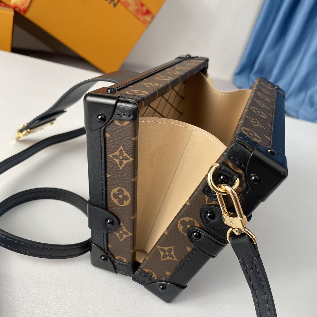 Louis Vuitton M45943 Petite Malle (4)