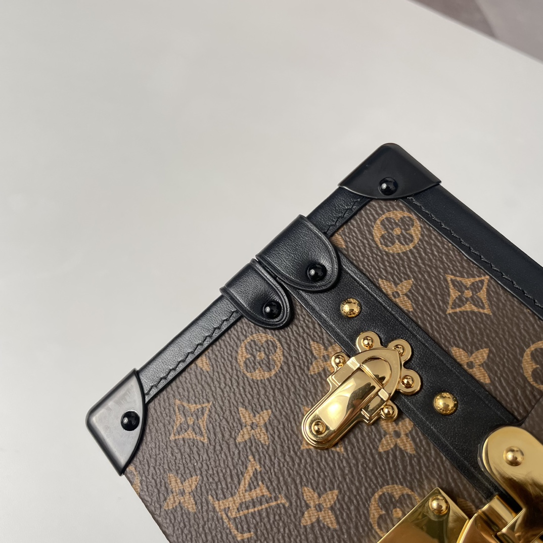 Louis Vuitton M45943 Petite Malle (4)