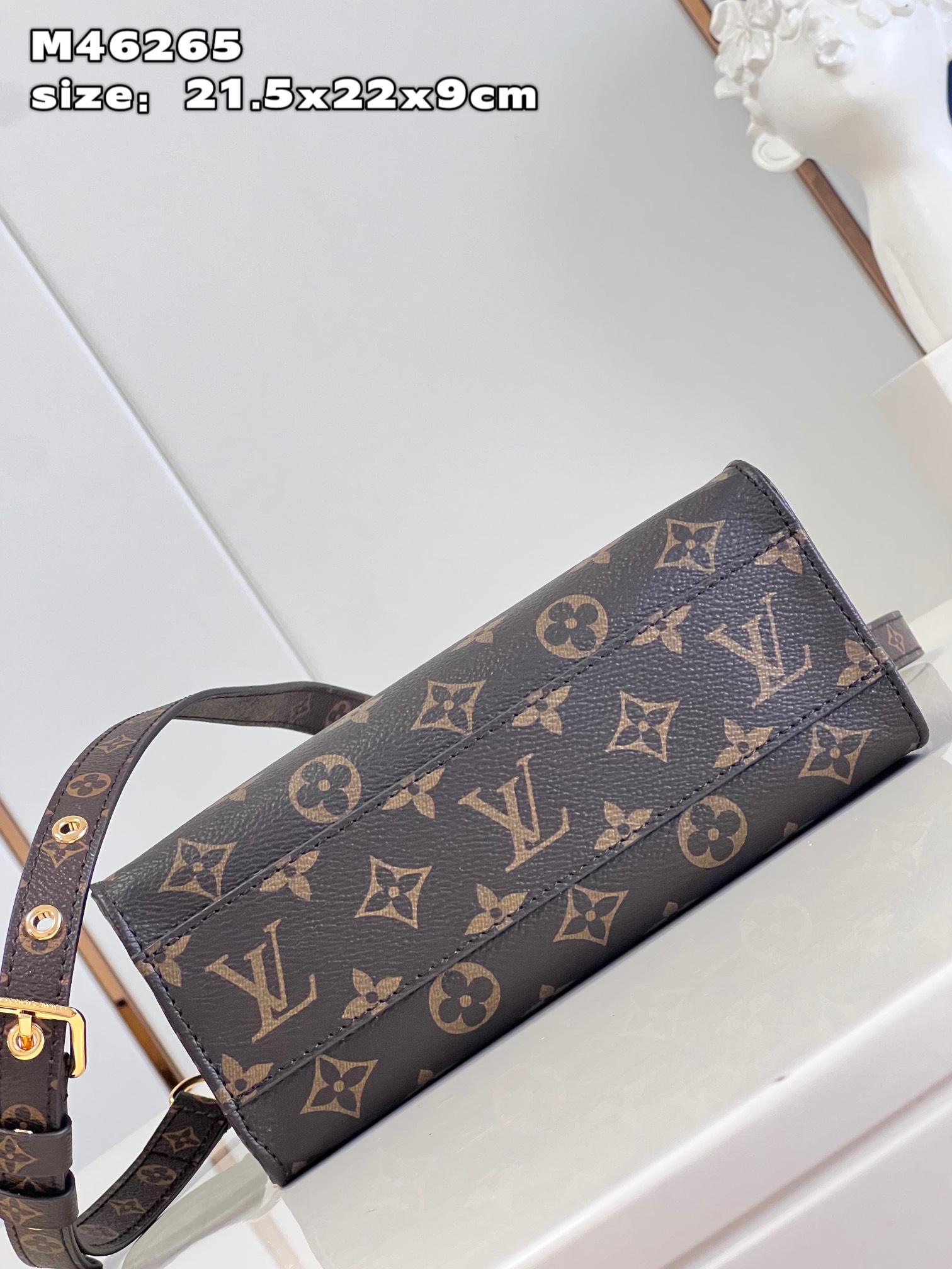 Louis Vuitton M46265 Sac Plat BB (2)