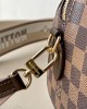 Louis Vuitton N40489 Speedy Bandoulière 20