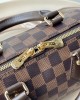 Louis Vuitton N40489 Speedy Bandoulière 20