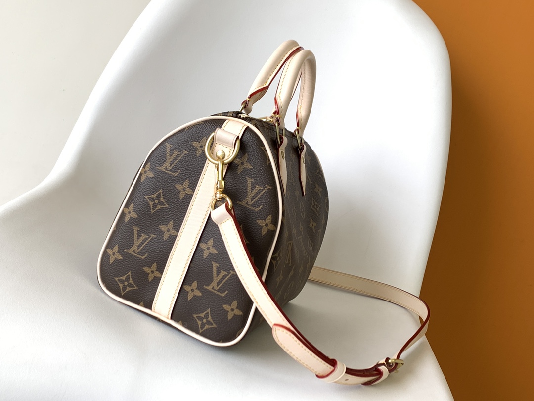 Louis Vuitton M41113 Speedy Bandoulière 25 (2)