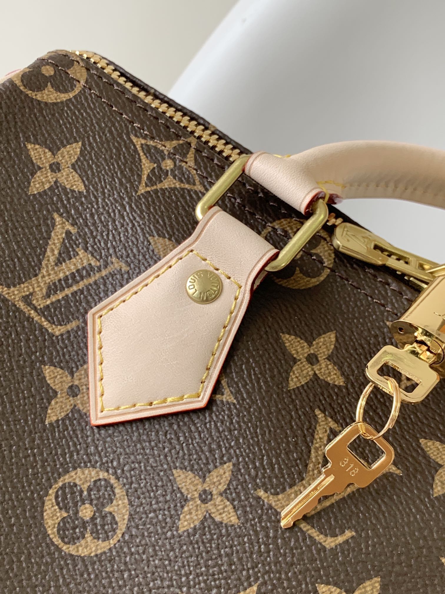 Louis Vuitton M41113 Speedy Bandoulière 25 (2)