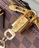 Louis Vuitton N40447 Braided Alma BB