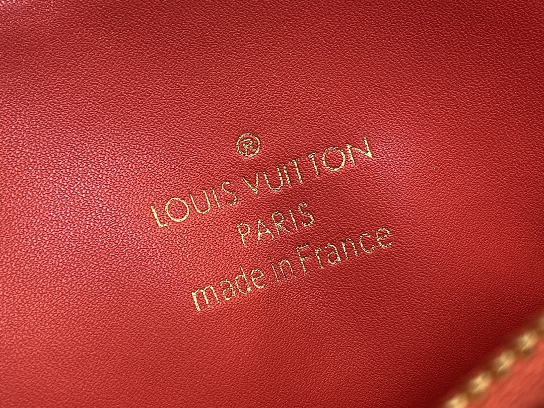 Louis Vuitton M23466 Coussin PM (4)