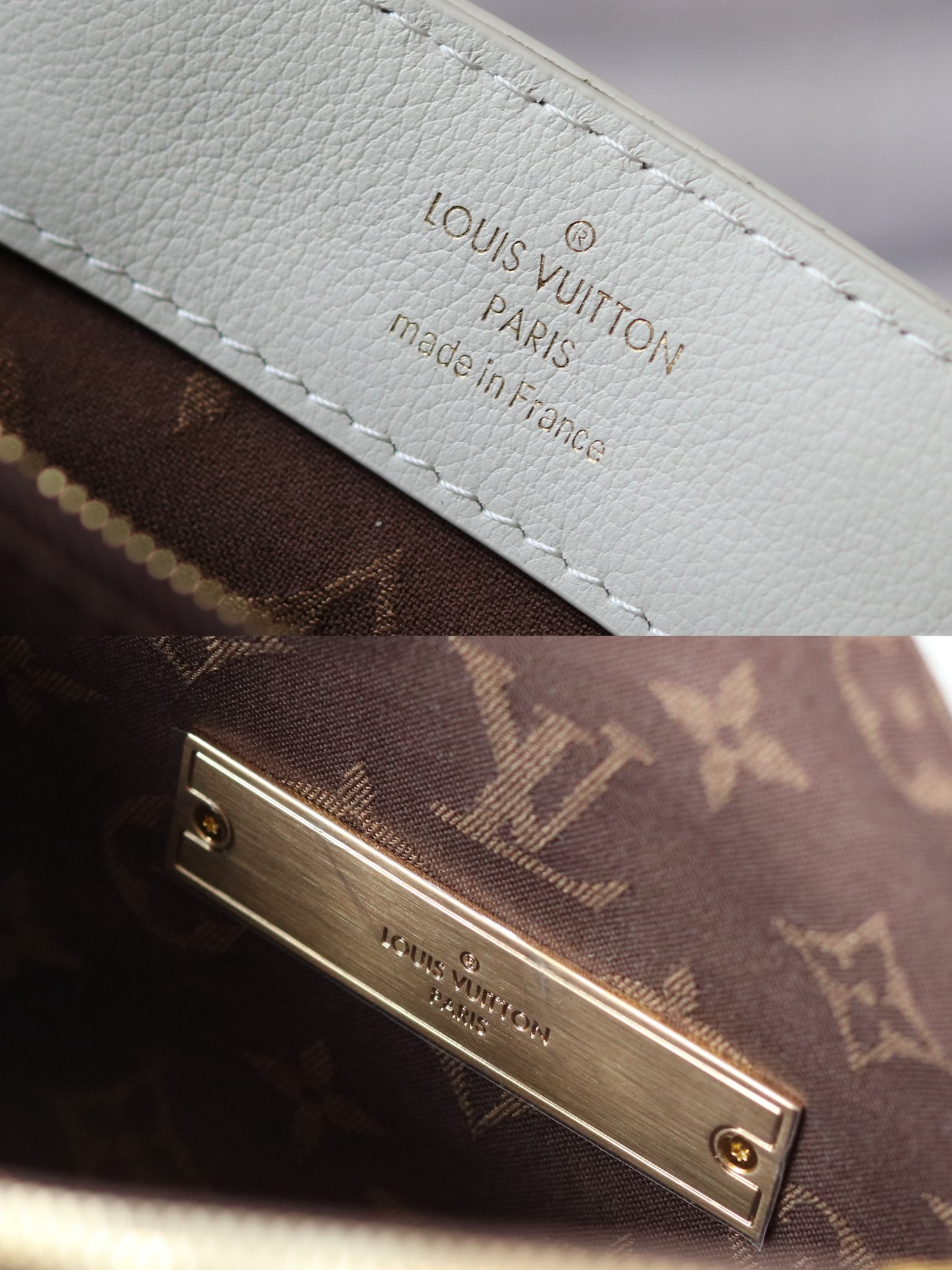 Louis Vuitton M25050 Dauphine Soft MM (3)