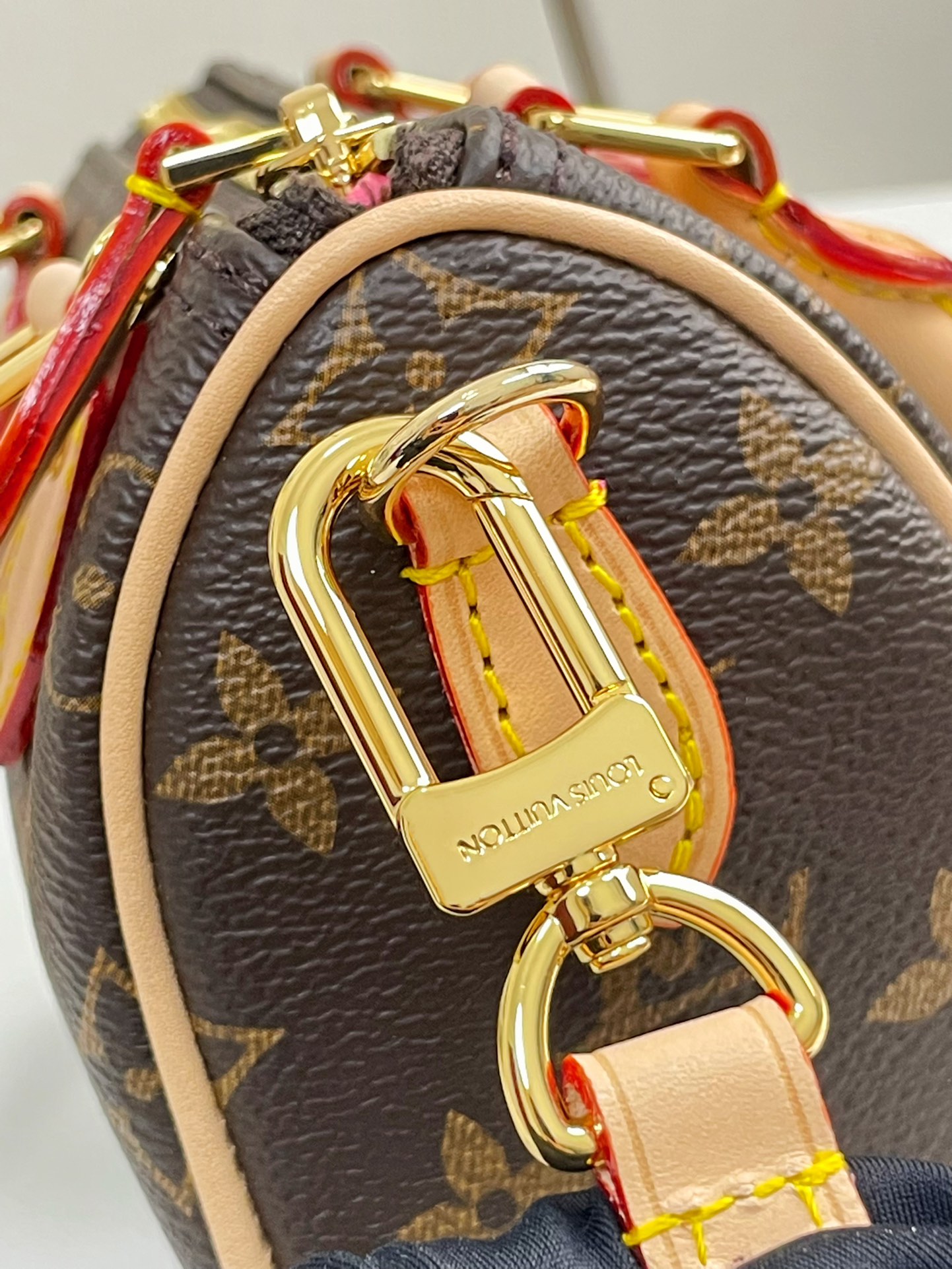 Louis Vuitton M82624 Nano Speedy (2)