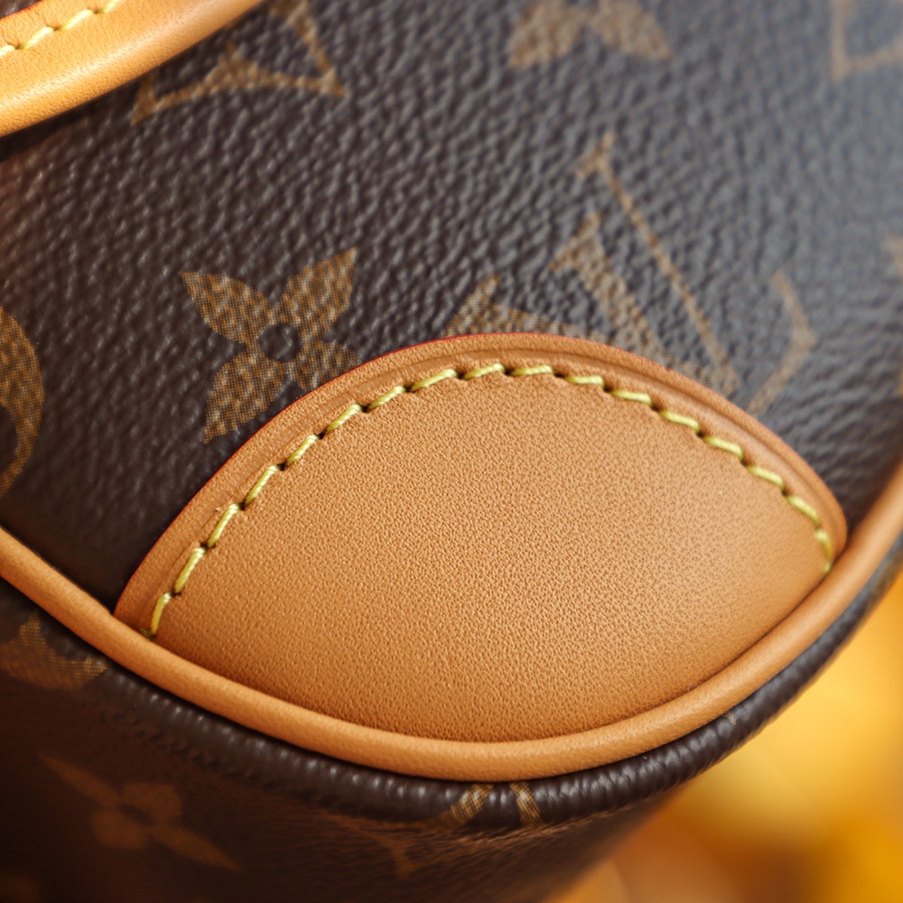 Louis Vuitton M45985 Diane (2)