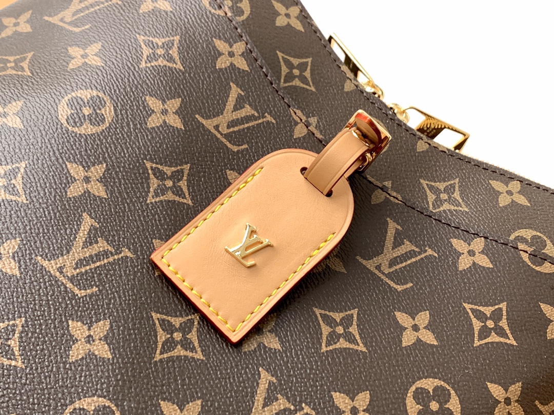 Louis Vuitton M45355 Odéon MM