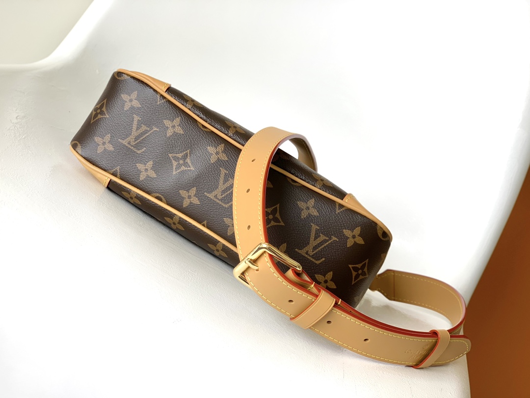 Louis Vuitton M45354 Odéon PM