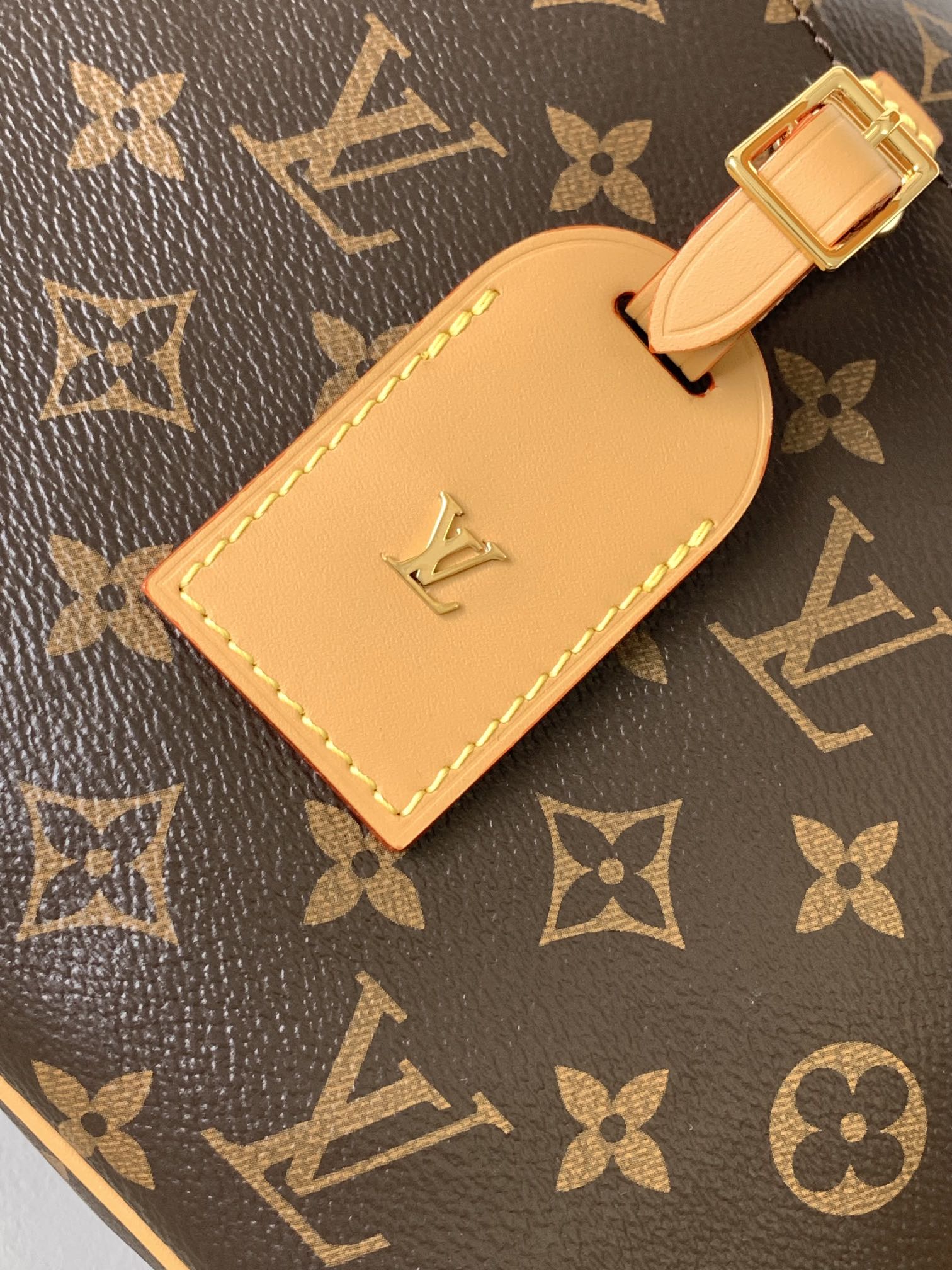 Louis Vuitton M45354 Odéon PM