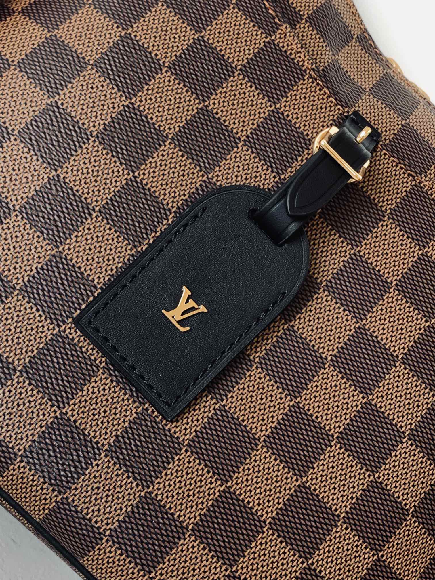 Louis Vuitton N50064 Odéon PM (2)