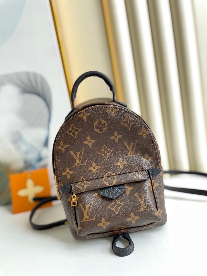 Louis Vuitton M44873 Palm Springs Mini