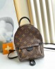 Louis Vuitton M44873 Palm Springs Mini