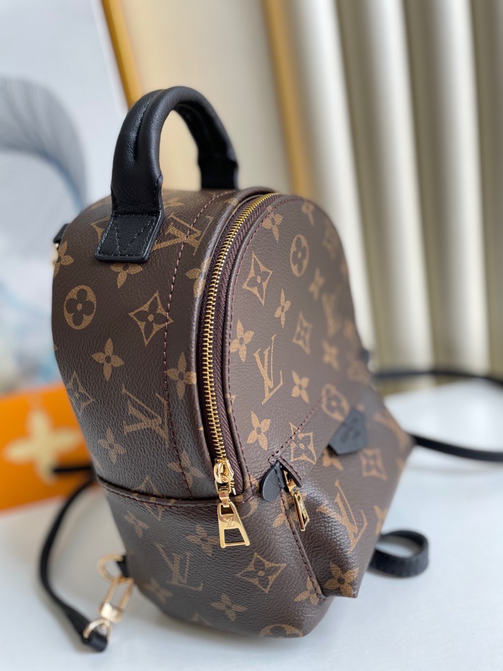 Louis Vuitton M44873 Palm Springs Mini