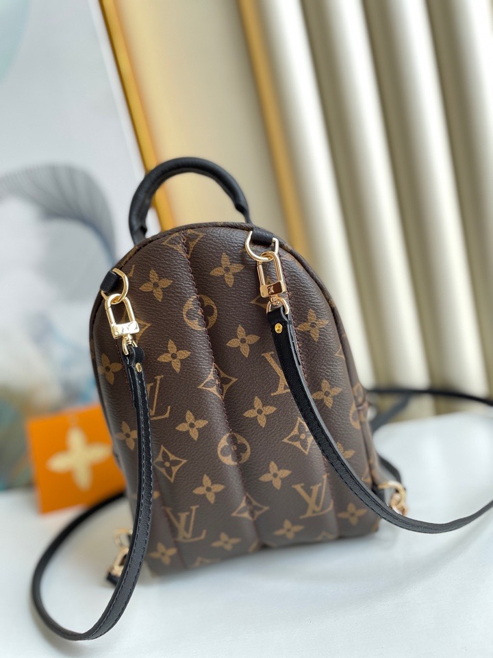 Louis Vuitton M44873 Palm Springs Mini