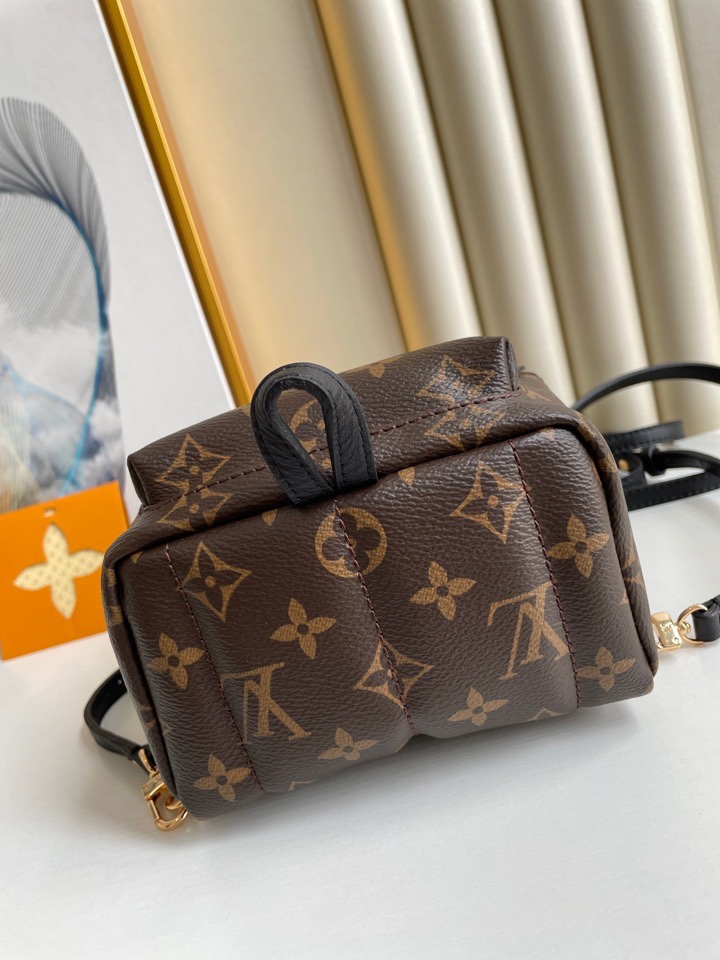 Louis Vuitton M44873 Palm Springs Mini