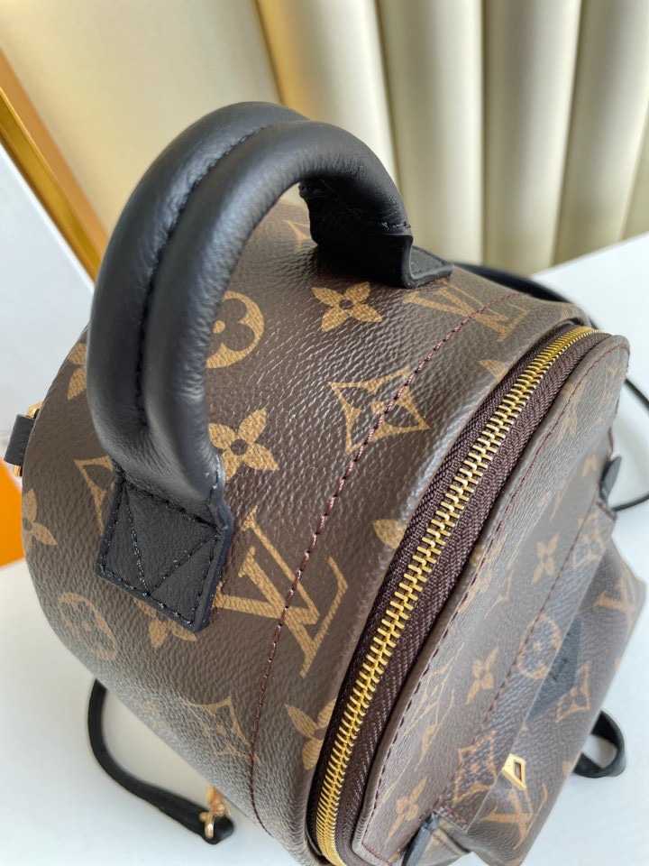 Louis Vuitton M44873 Palm Springs Mini