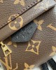 Louis Vuitton M44873 Palm Springs Mini