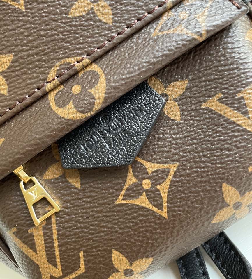 Louis Vuitton M44873 Palm Springs Mini