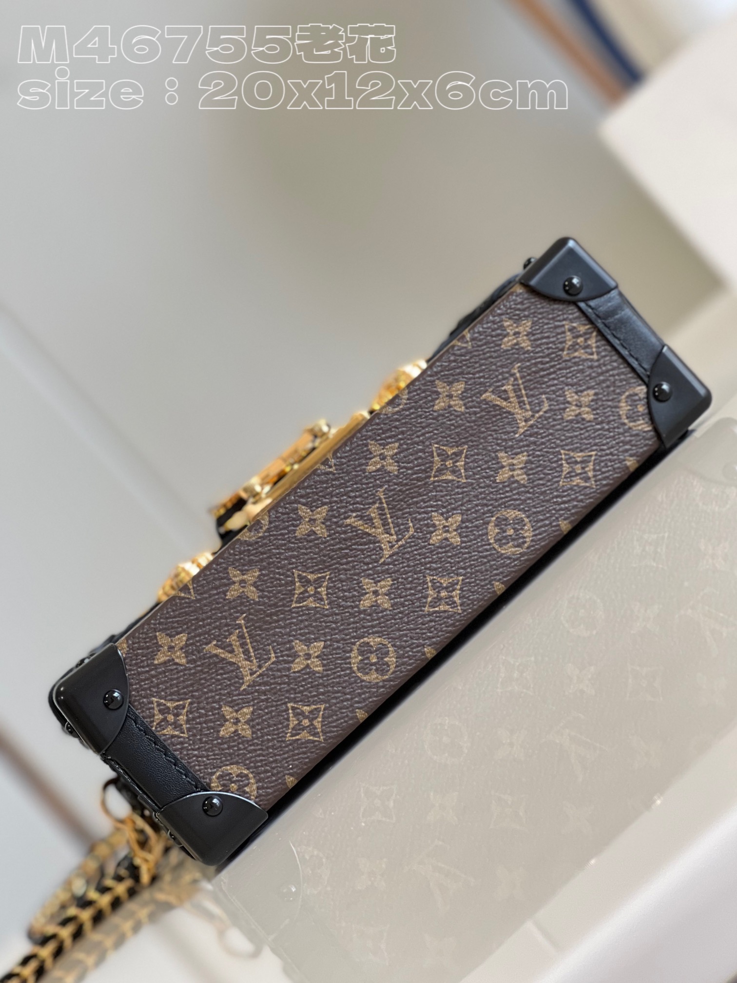 Louis Vuitton M46755 Petite Malle Capitale