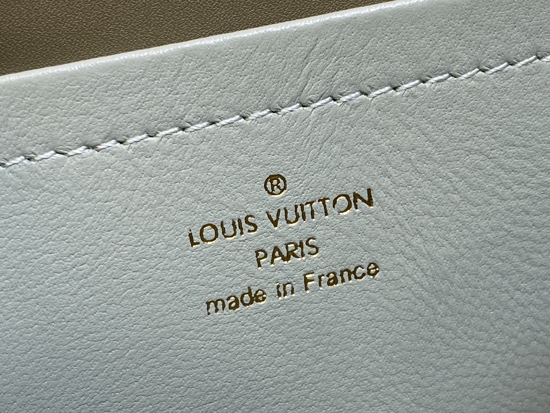 Louis Vuitton M82474 Pochette Coussin