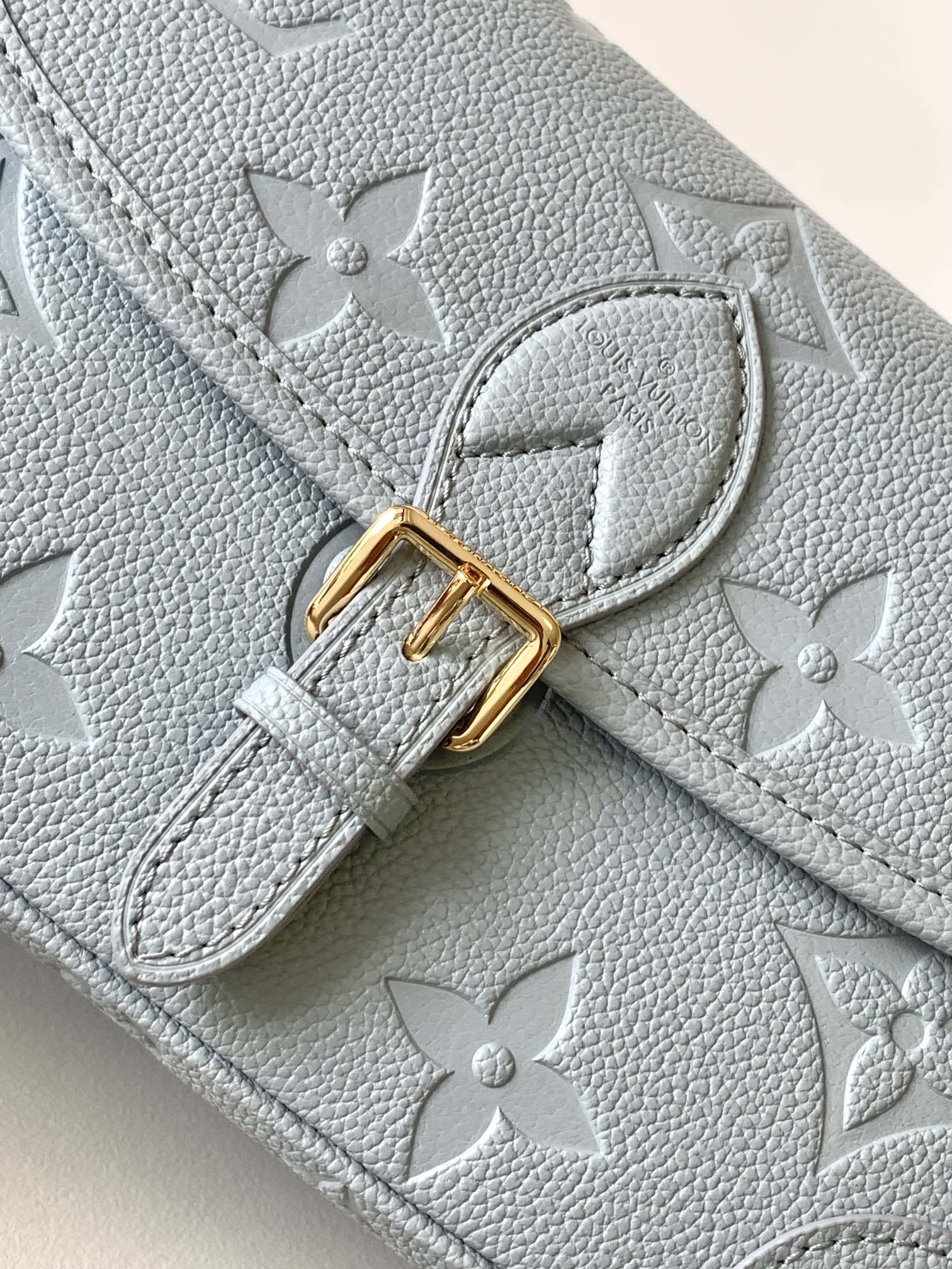 Louis Vuitton M46846 Diane (6)