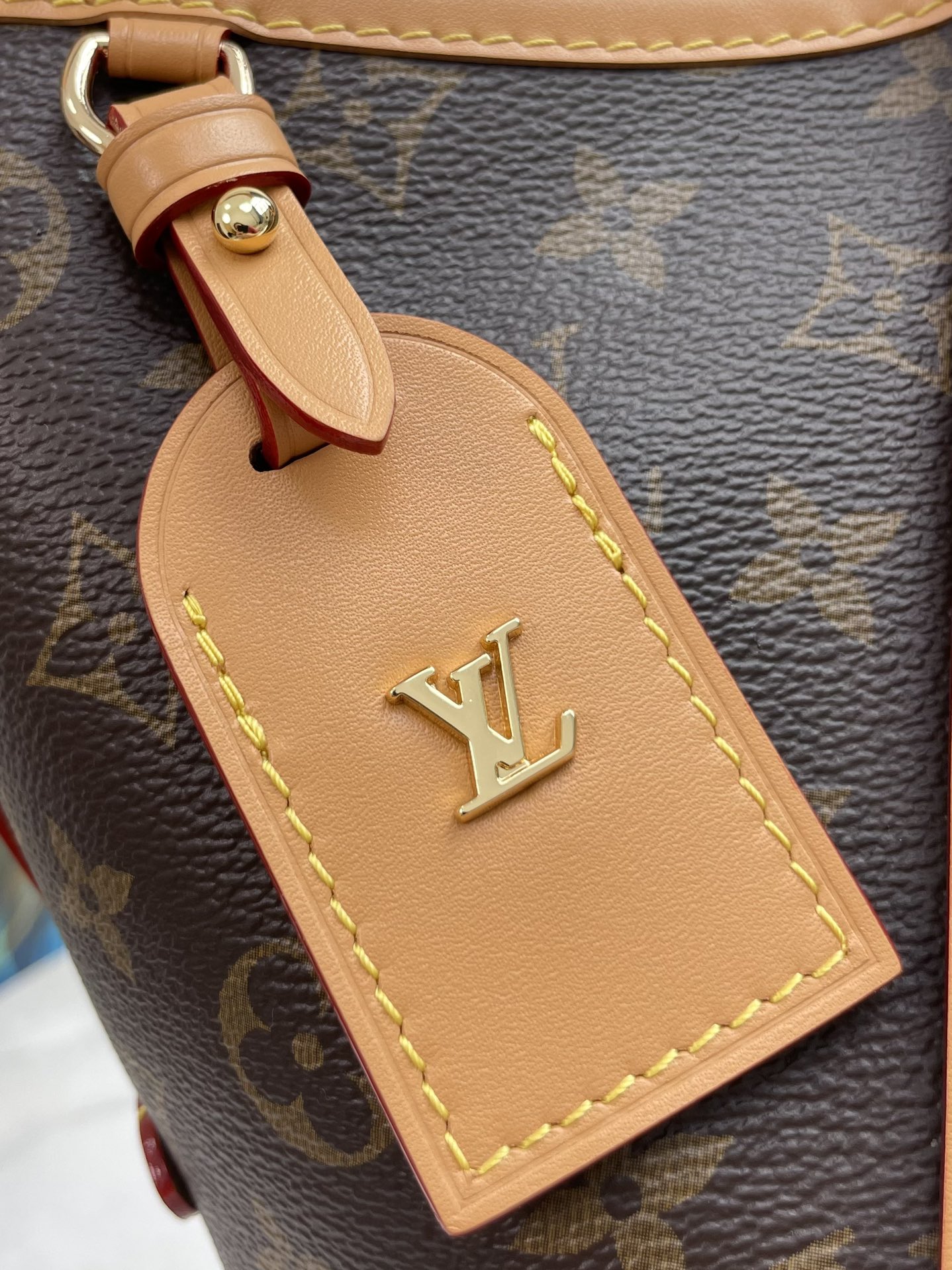 Louis Vuitton M46203 CarryAll PM