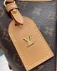 Louis Vuitton M46203 CarryAll PM