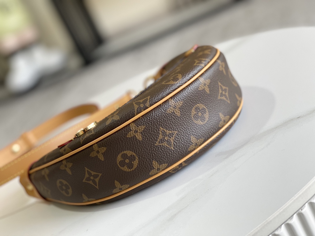 Louis Vuitton M81098 Loop (2)