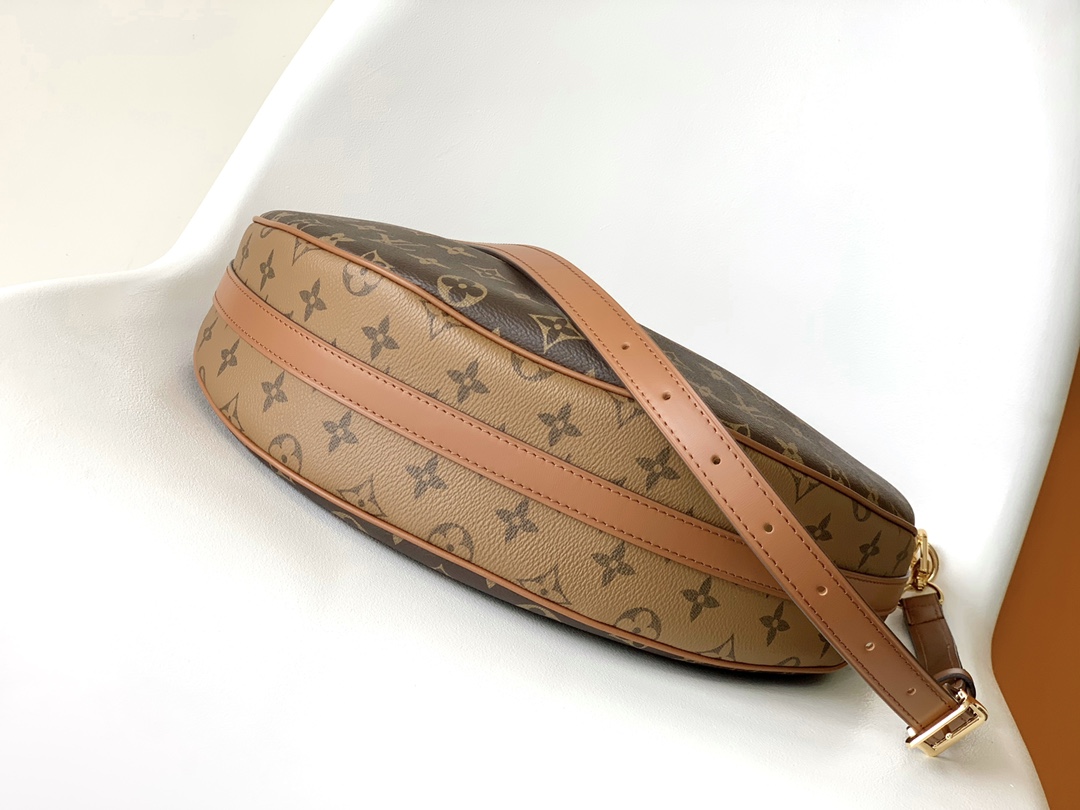 Louis Vuitton M46311 Loop Hobo