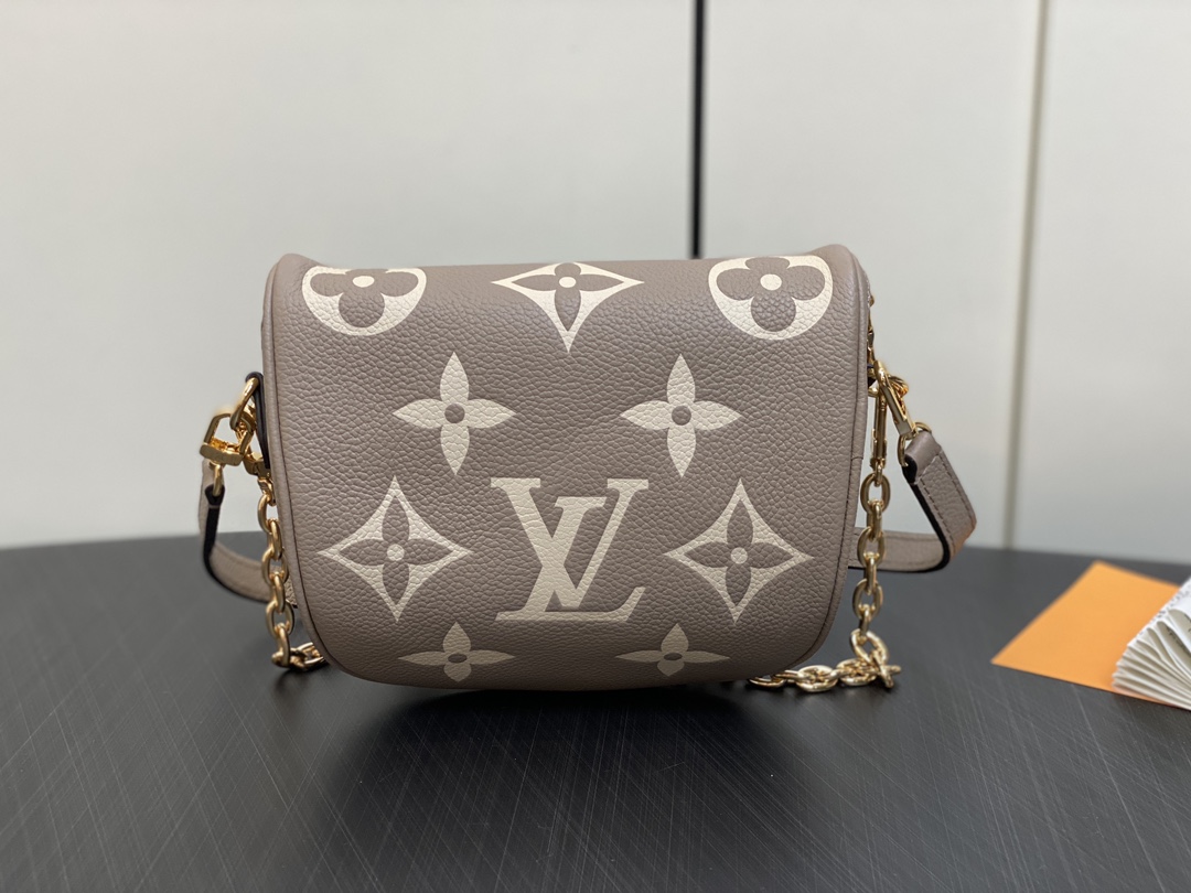 Louis Vuitton M83219 Mini Bumbag (2)