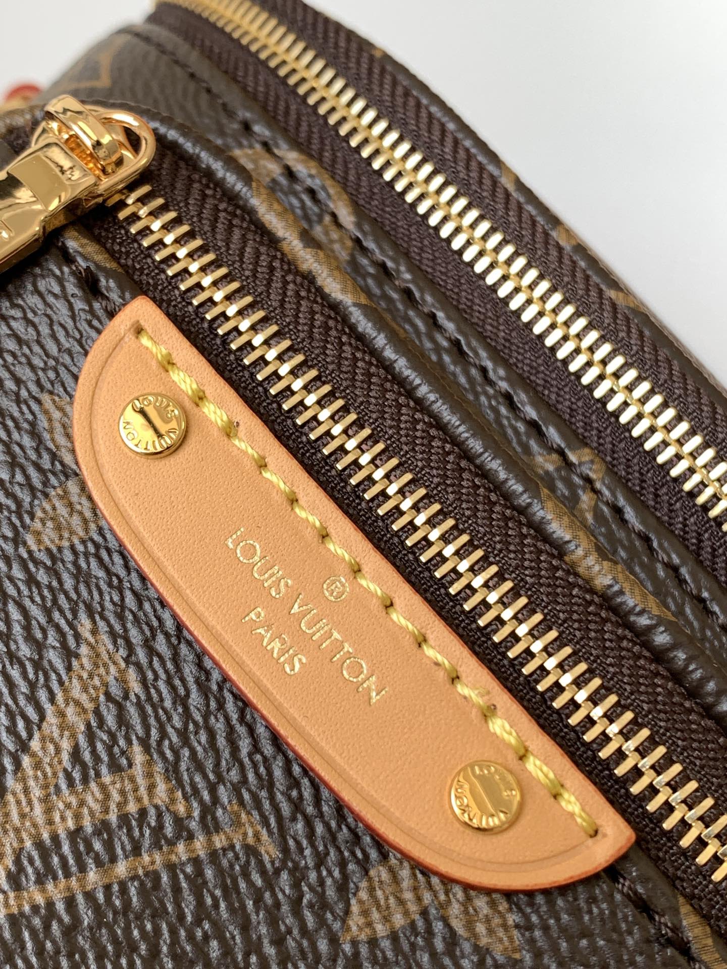 Louis Vuitton M82335 Mini Bumbag (4)