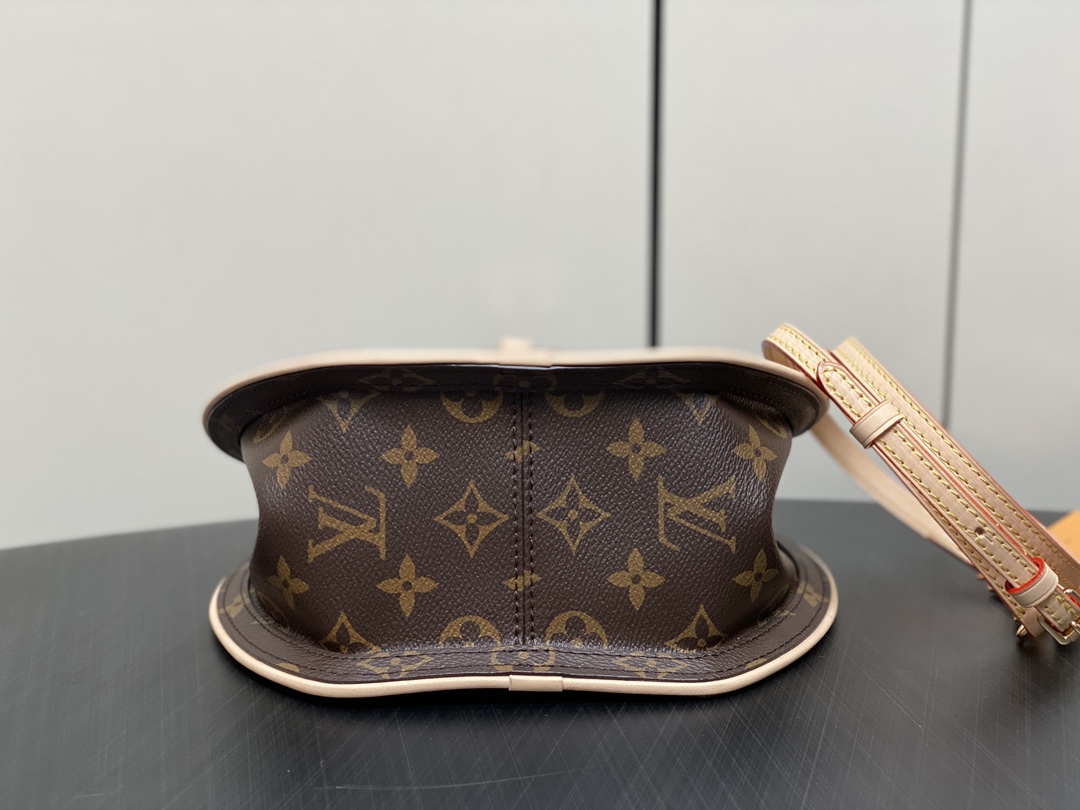 Louis Vuitton M47117 Around Me PM